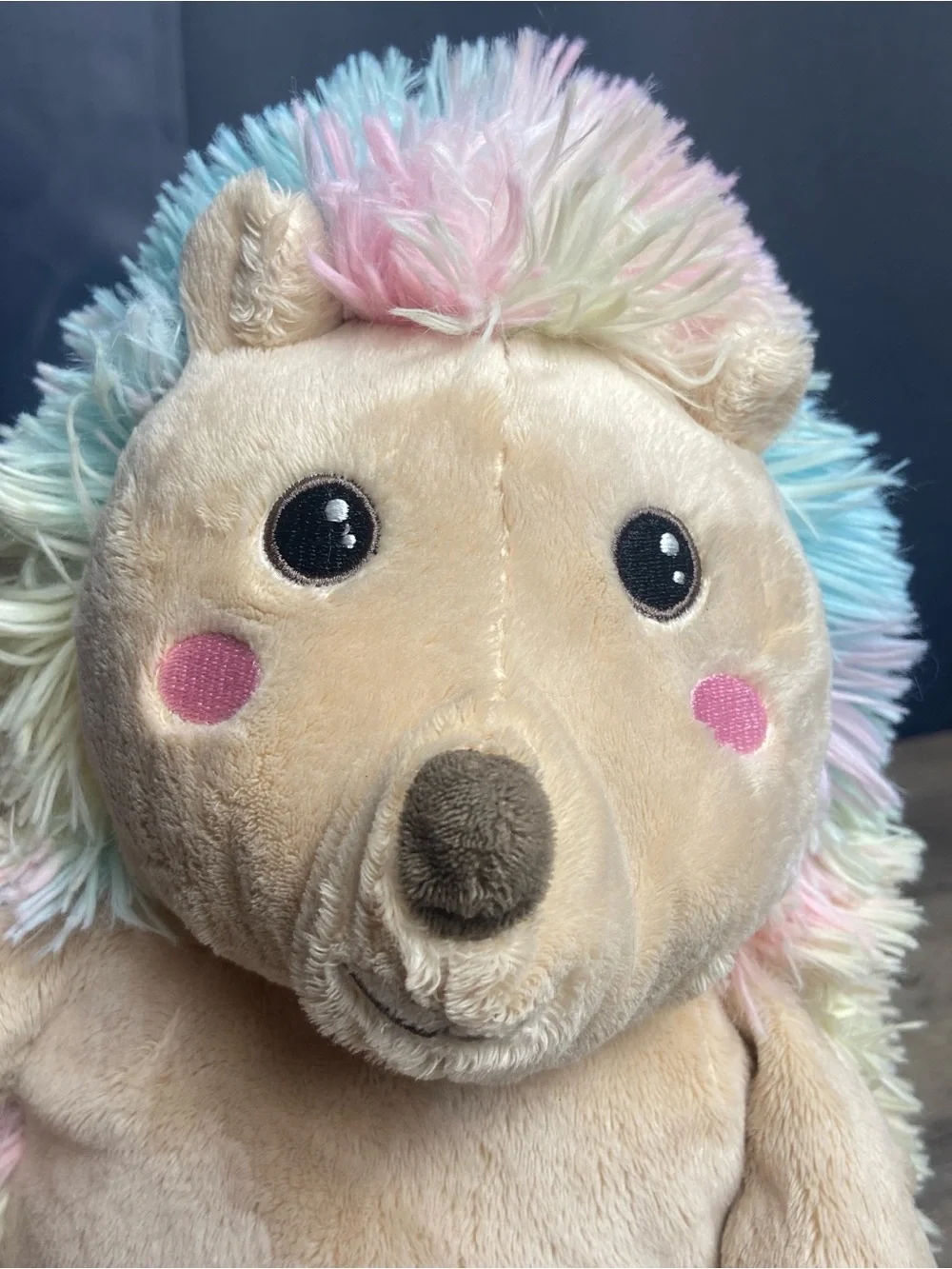 Build-A-Bear Cool Quills Hedgehog, Plush, Rainbow Fur, Super Soft